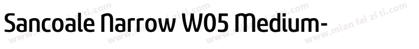 Sancoale Narrow W05 Medium字体转换